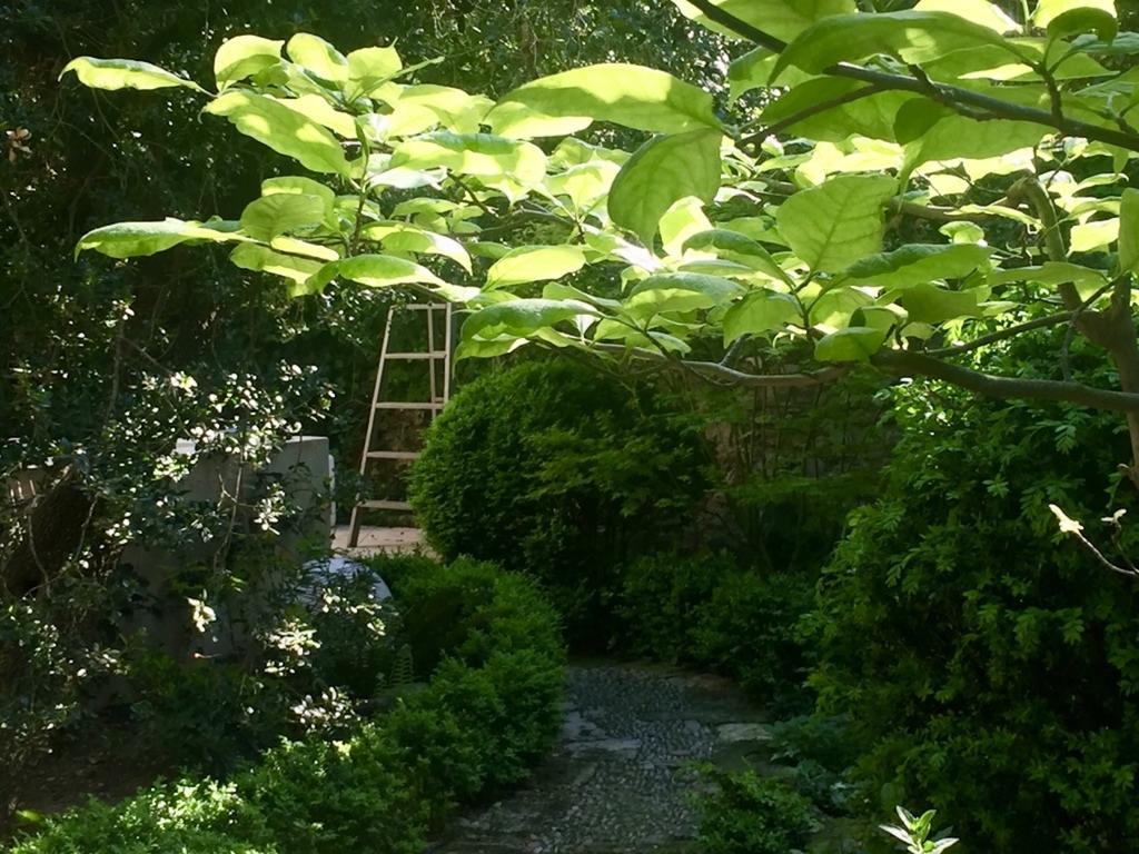 Les Jardins De Baracane Avignon Exterior foto